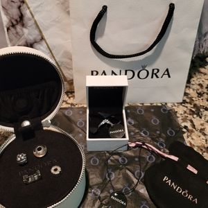Pandora Bundle - Retired Charms, Wishbone Ring (9) & Limited Edition Case!